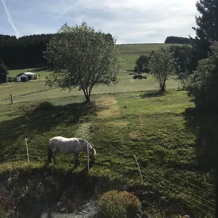 Artgerecht Himmelsgleich * Bad Berleburg
